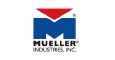 Mueller